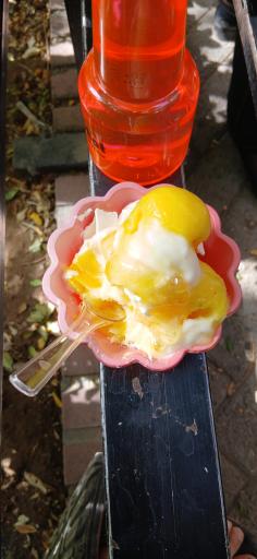 عکس بستنی فروشی