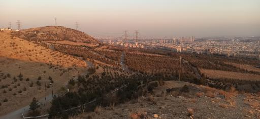 عکس بوستان جنگلی لتمال کن