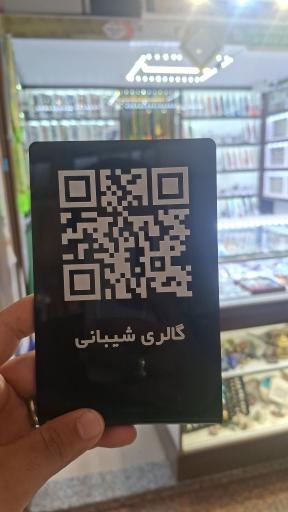 عکس نقرجات شیبانی