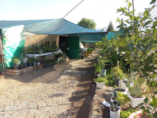 عکس گلفروشی گلخانه شهرک الماسی