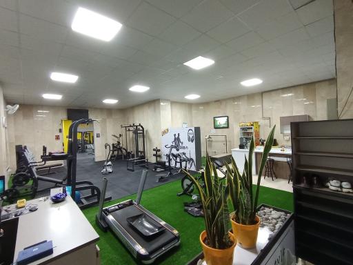 عکس باشگاه بدنسازی تاپ استایل