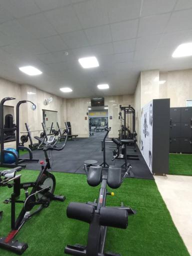 عکس باشگاه بدنسازی تاپ استایل