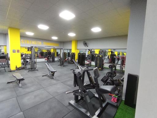 عکس باشگاه بدنسازی تاپ استایل