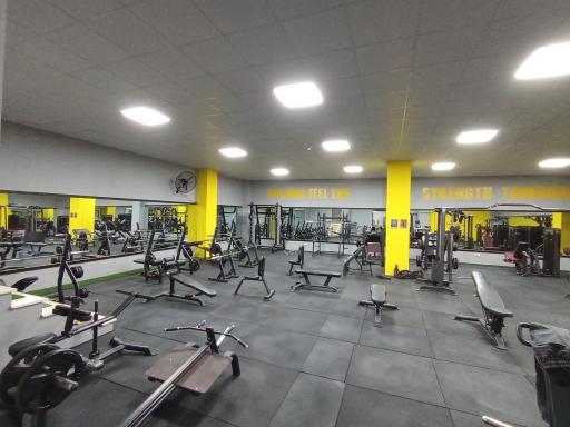 عکس باشگاه بدنسازی تاپ استایل