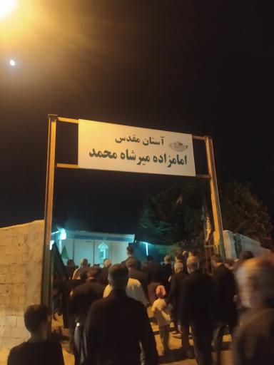 عکس امام زاده میرشاه محمد