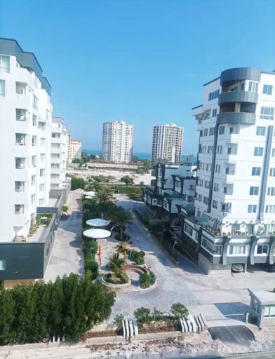 عکس یاسین کیش