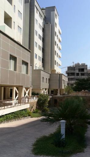 عکس یاسین کیش