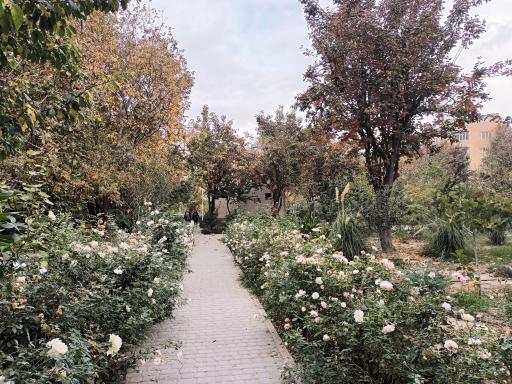 عکس باغ پارک خرمالو