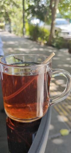 عکس پیتزا شونیز