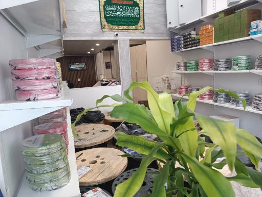 عکس الکترو مهدی