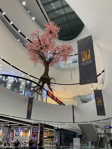 عکس مرکز خرید و سرگرمی سیتی استار (ستاره شهر)