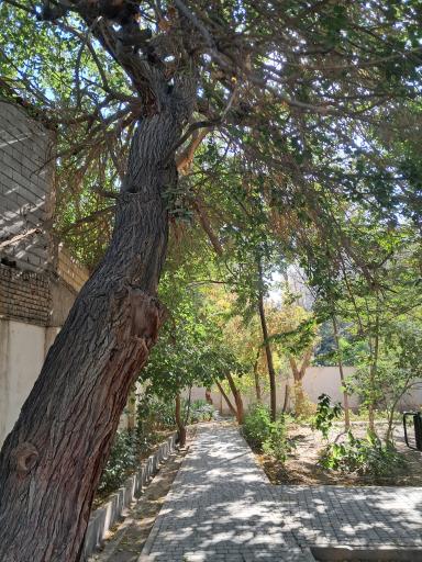 عکس باغ پارک خرمالو