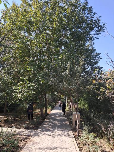 عکس باغ پارک خرمالو