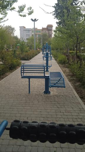 عکس باغ پارک خرمالو