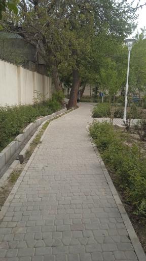 عکس باغ پارک خرمالو