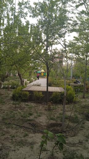 عکس باغ پارک خرمالو