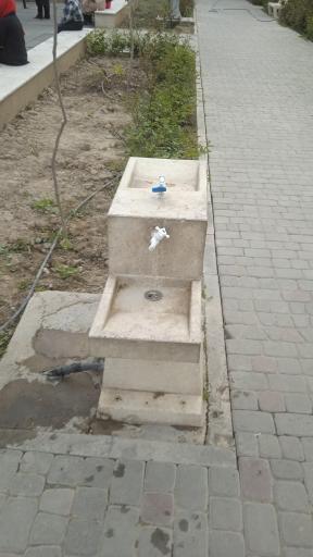 عکس باغ پارک خرمالو