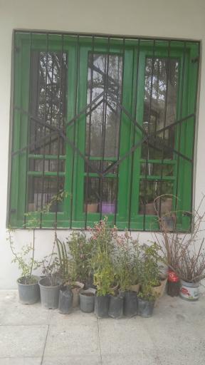 عکس باغ پارک خرمالو