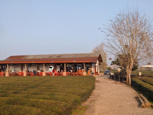 عکس بوم گردی تی باغ فومن