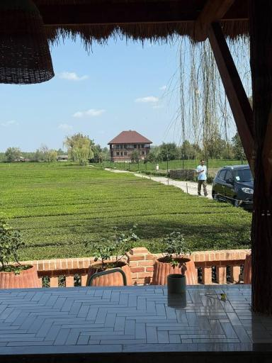 عکس بوم گردی تی باغ فومن