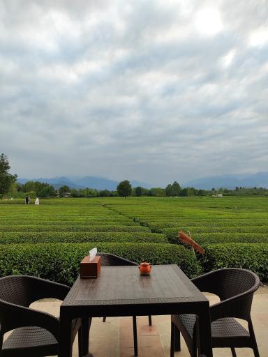 عکس بوم گردی تی باغ فومن