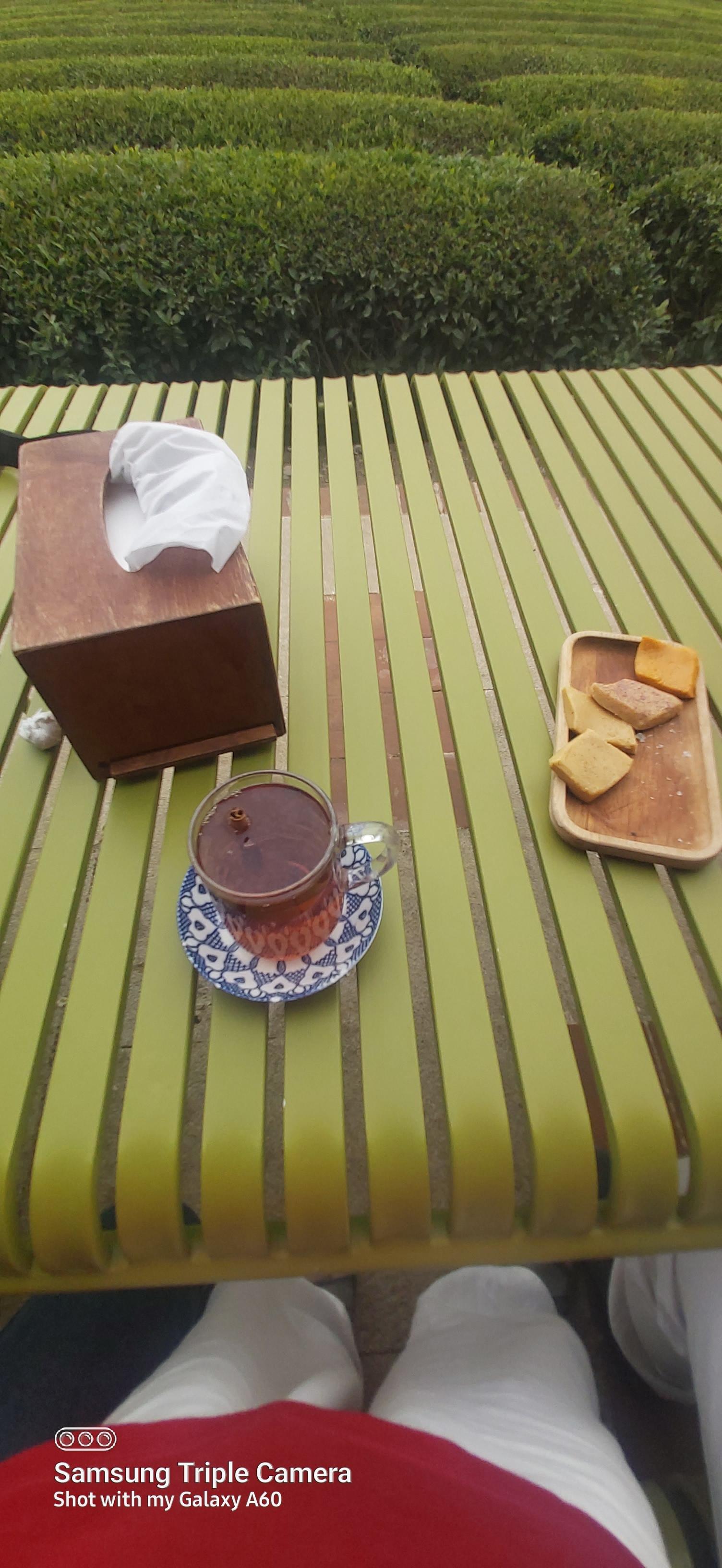 عکس بوم گردی تی باغ فومن