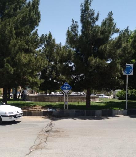 عکس میدان نبوت (کبوتر)