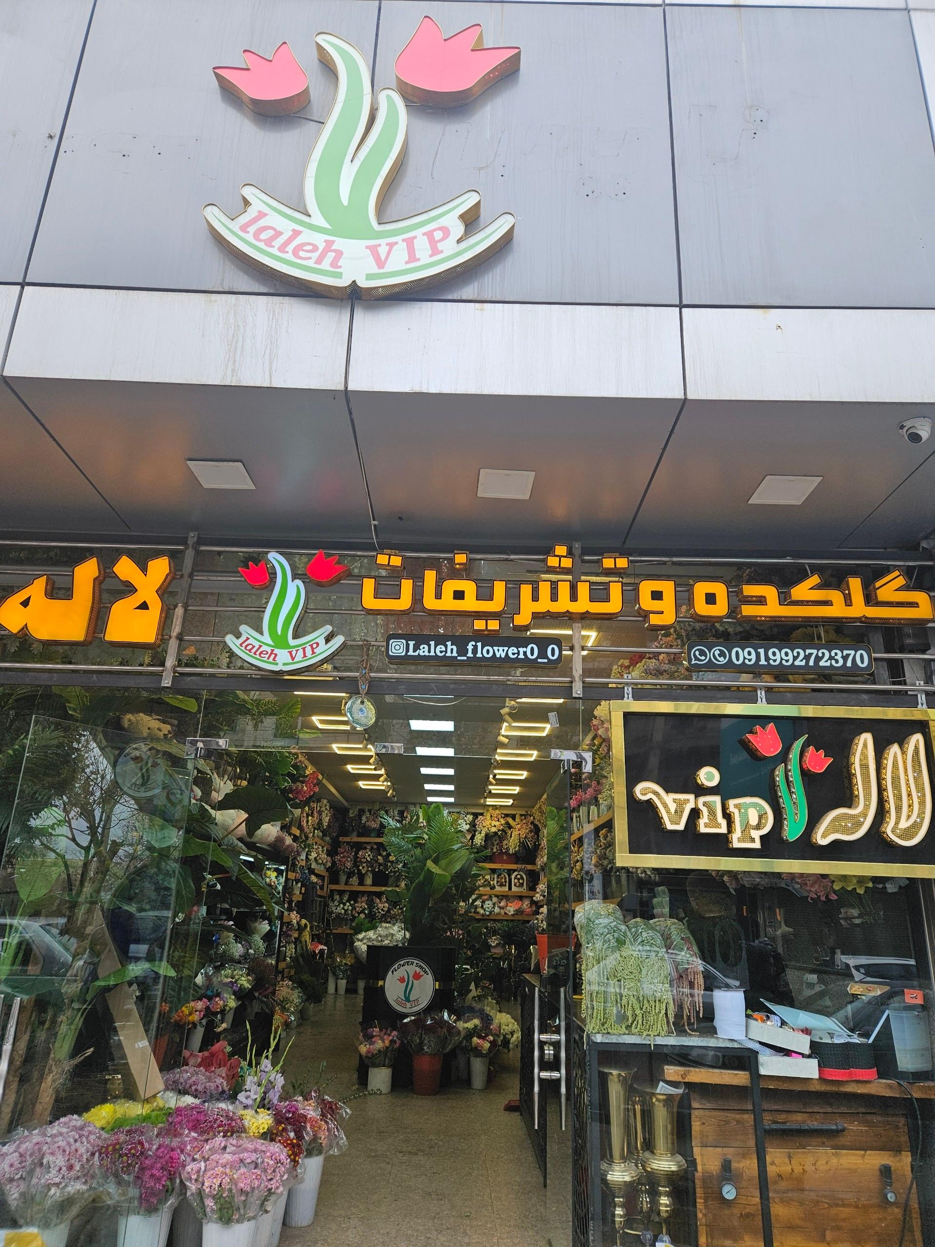 عکس گلکده لاله وی أی پی