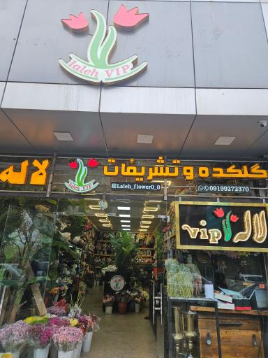 گلکده لاله وی أی پی