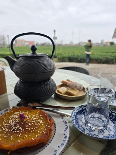 عکس بوم گردی تی باغ فومن