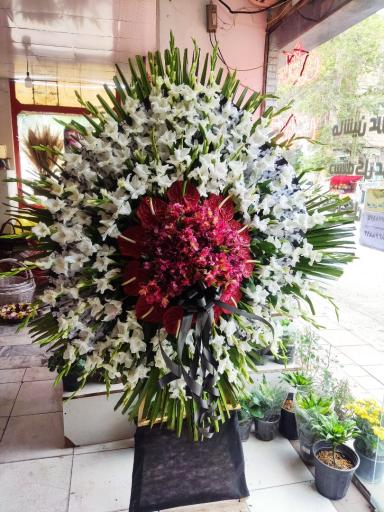 عکس گل فروشی شکوفه سرای رویا