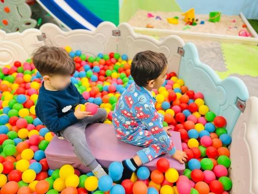 عکس خانه بازی درنا