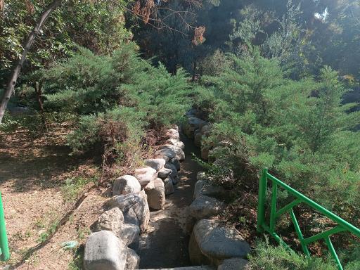 عکس بوستان گلسار