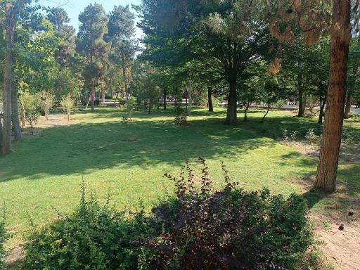 عکس بوستان گلسار