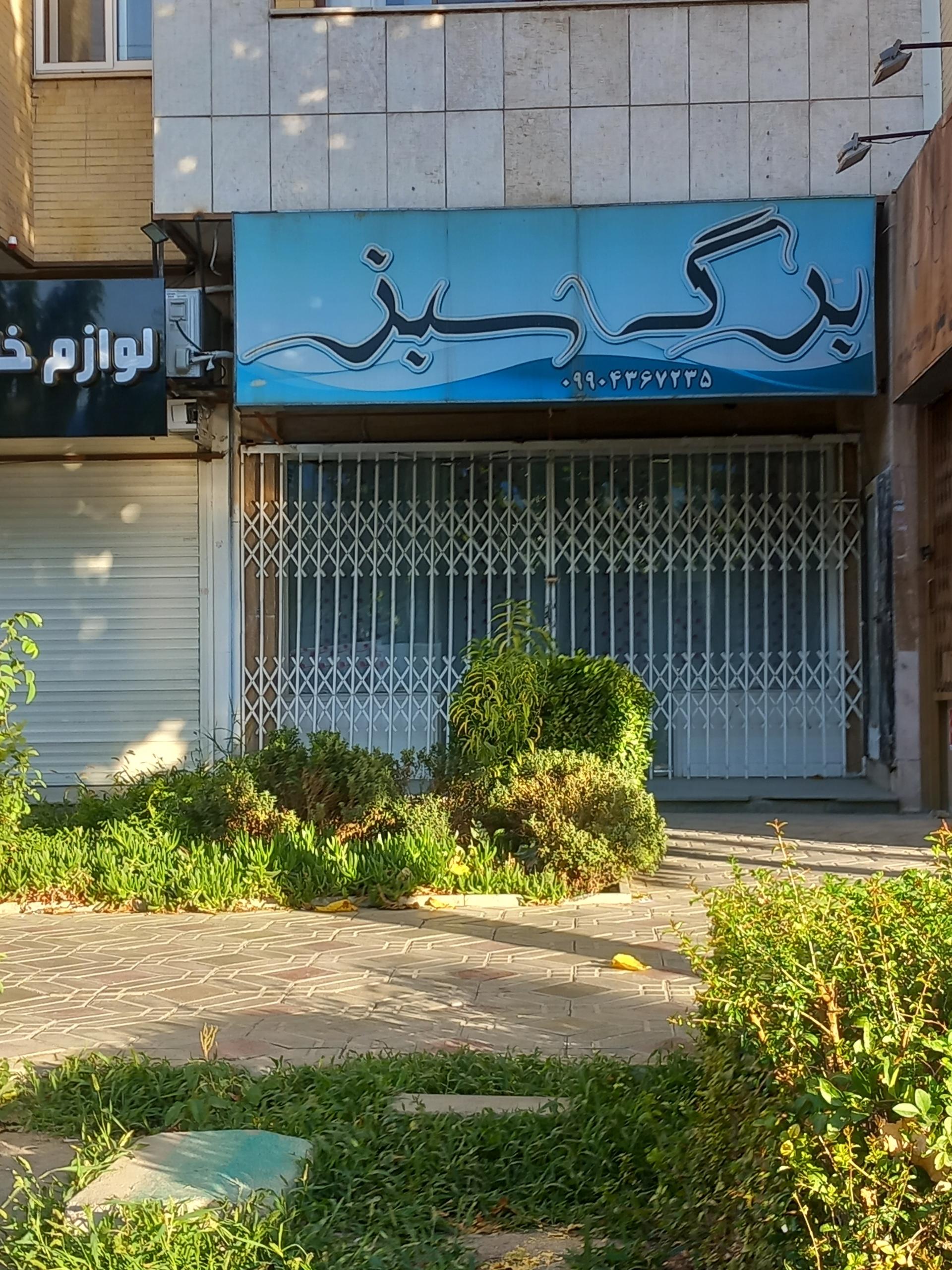 عکس برگ سبز
