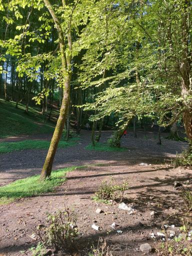 عکس پارک جنگلی جوارم