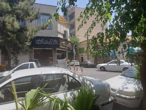 عکس تهیه غذای شادمانه