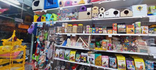 عکس پِت شاپ پیشی پِت