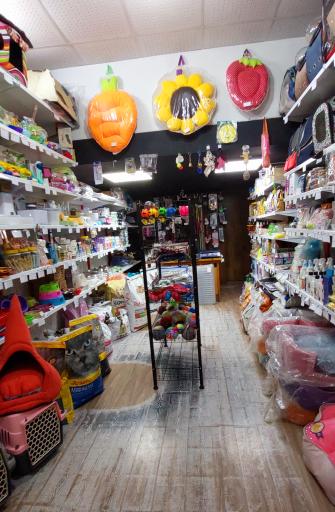 عکس پِت شاپ پیشی پِت