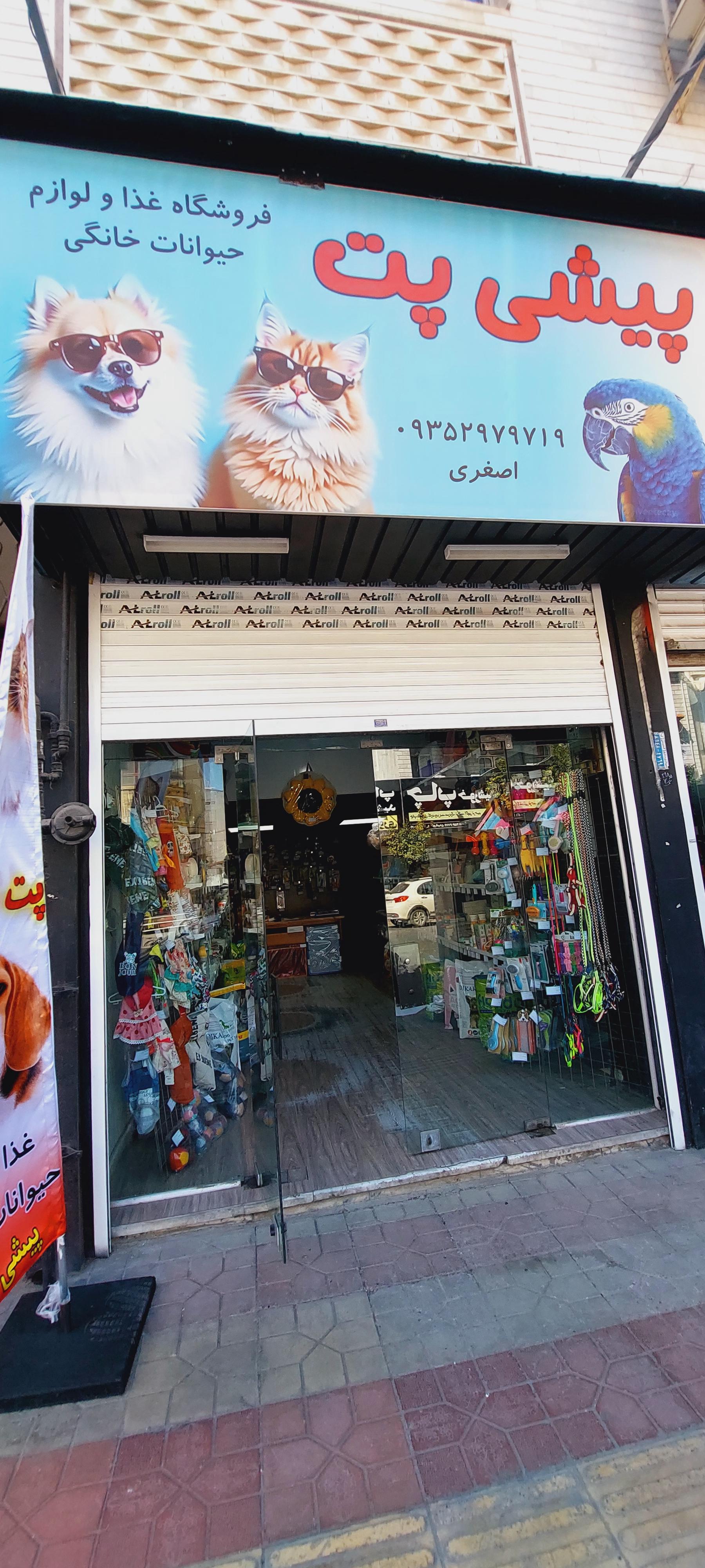 عکس پت شاپ پیشی پت