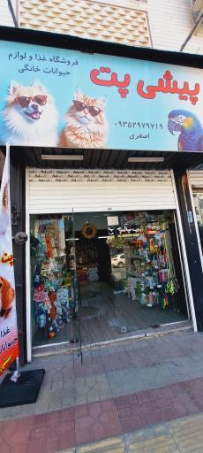 عکس پِت شاپ پیشی پِت