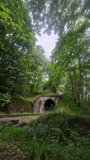 عکس پارک جنگلی جوارم