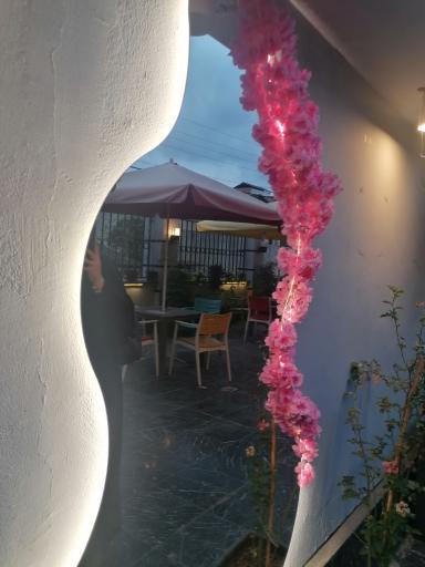 عکس کافه کتاب (ویژه بانوان)