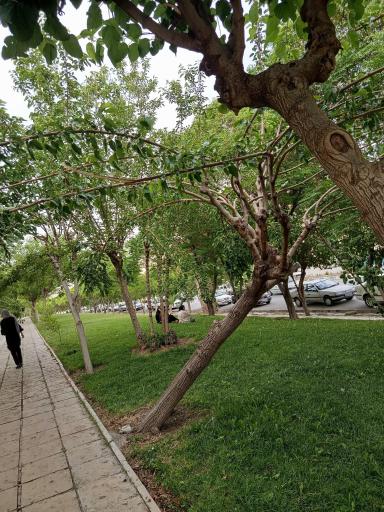 عکس پارک بهشت