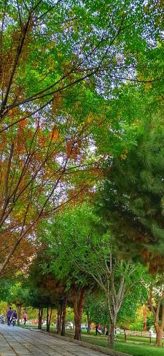 عکس پارک بهشت