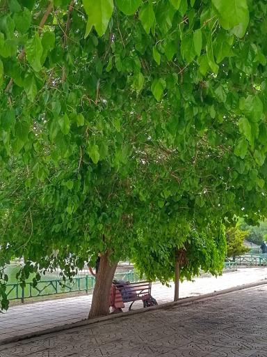 عکس پارک بهشت