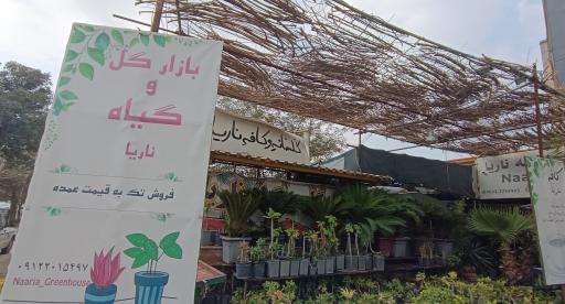 فروشگاه گل و گیاه ناریا