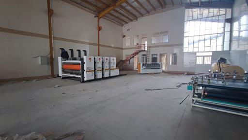 عکس کارتن سازی آریا مهر 