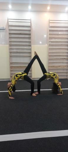 عکس آکادمی ژیمناستیک