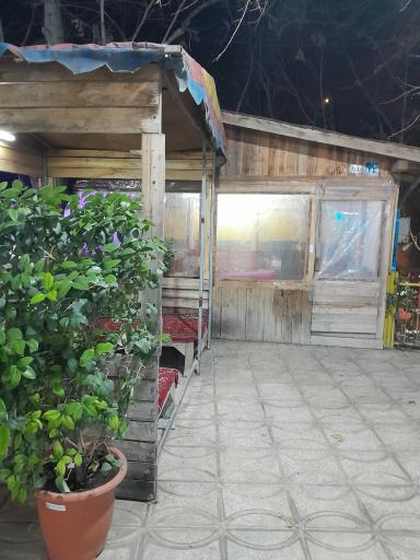 عکس باغ رستوران شقایق 